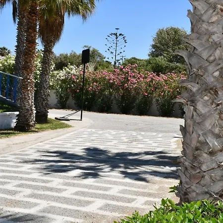 Kos Olympia Apartments At Lambi Beach Apartment Kos Town